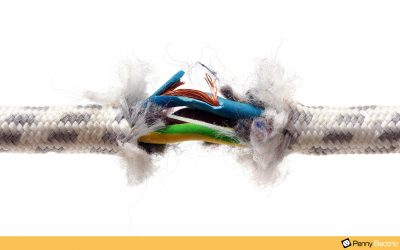 Tips for Stopping Rodents from Chewing on Electrical Wires