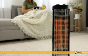 Woman on couch with cat with a space heater in the foreground
